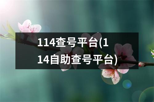 114查号平台