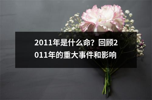 2011年是什么命？回顾2011年的重大事件和影响