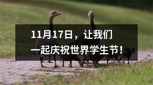 11月17日，让我们一起庆祝世界学生节！