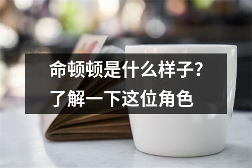 命顿顿是什么样子？了解一下这位角色