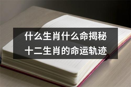什么生肖什么命揭秘十二生肖的命运轨迹