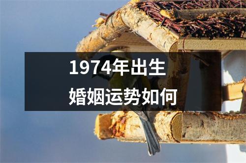 1974年出生婚姻运势如何