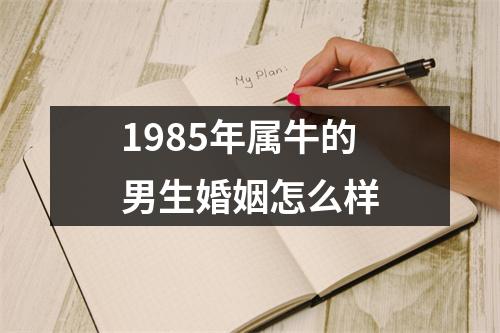 1985年属牛的男生婚姻怎么样