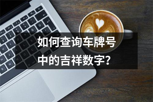 如何查询车牌号中的吉祥数字？