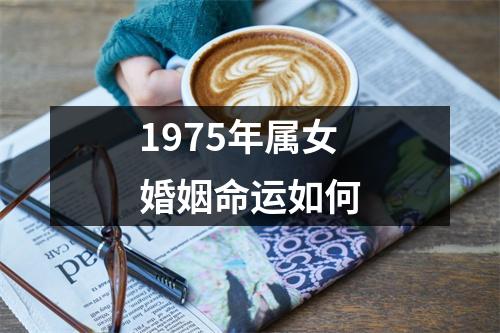 1975年属女婚姻命运如何