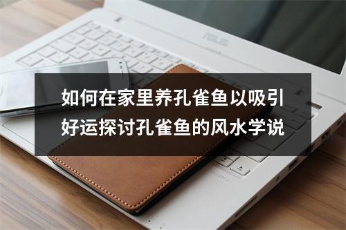 如何在家里养孔雀鱼以吸引好运探讨孔雀鱼的风水学说