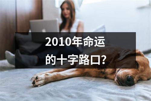 2010年命运的十字路口？