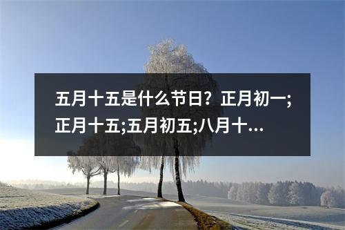 五月十五是什么节日？正月初一;正月十五;五月初五;八月十五;九月初九，对应的节日和风俗习惯是什么