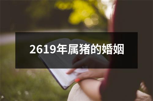 2619年属猪的婚姻