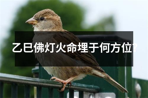 乙巳佛灯火命埋于何方位？
