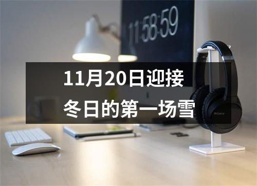 11月20日迎接冬日的第一场雪
