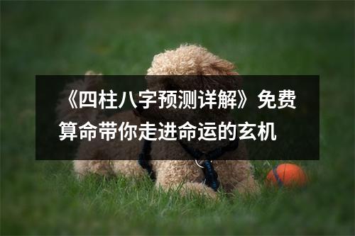 《四柱八字预测详解》免费算命带你走进命运的玄机