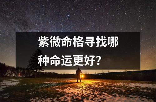 紫微命格寻找哪种命运更好？