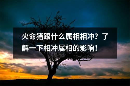 火命猪跟什么属相相冲？了解一下相冲属相的影响！