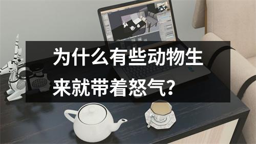 为什么有些动物生来就带着怒气？