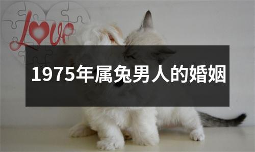 1975年属兔男人的婚姻