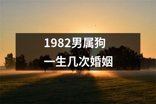1982男属狗一生几次婚姻