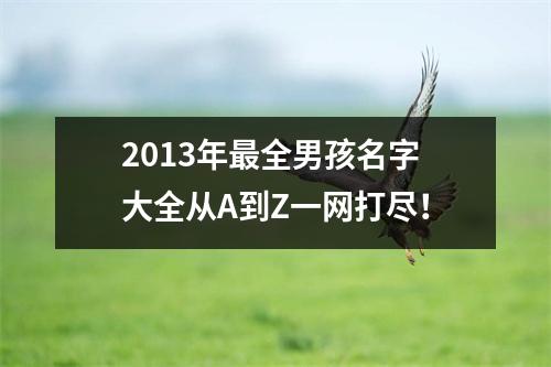 2013年最全男孩名字大全从A到Z一网打尽！
