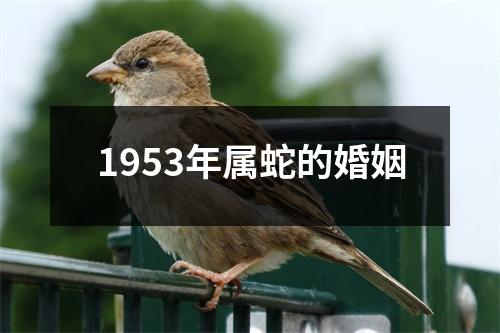 1953年属蛇的婚姻