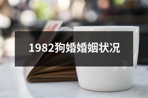 1982狗婚婚姻状况