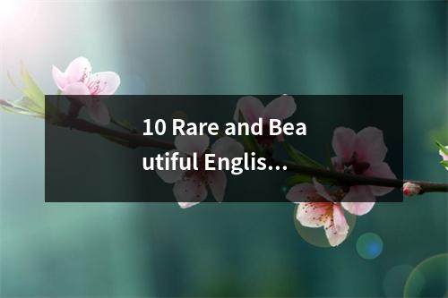 10 Rare and Beautiful English IDs That Sound Amazing