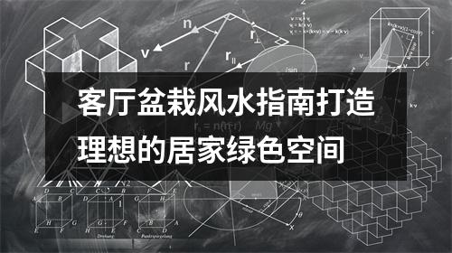 客厅盆栽风水指南打造理想的居家绿色空间