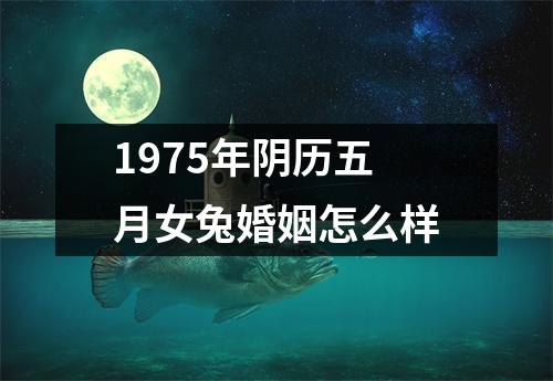 1975年阴历五月女兔婚姻怎么样