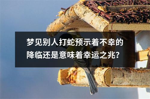 梦见别人打蛇预示着不幸的降临还是意味着幸运之兆？