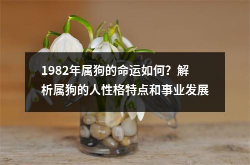 1982年属狗的命运如何？解析属狗的人性格特点和事业发展