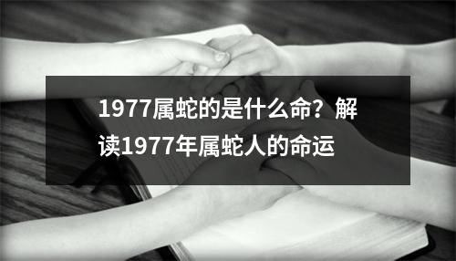 1977属蛇的是什么命？解读1977年属蛇人的命运