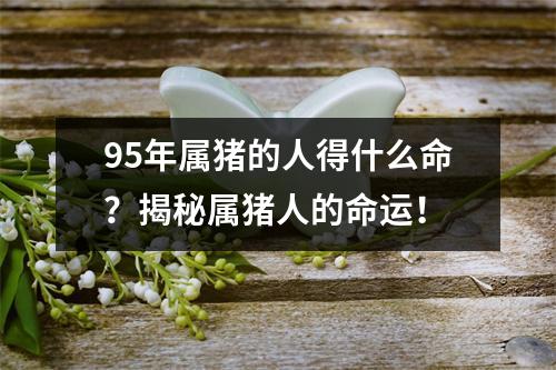 95年属猪的人得什么命？揭秘属猪人的命运！