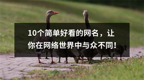 10个简单好看的网名，让你在网络世界中与众不同！