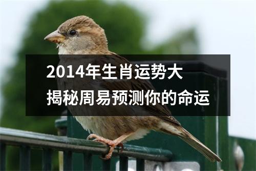 2014年生肖运势大揭秘周易预测你的命运