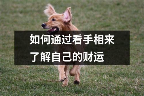 如何通过看手相来了解自己的财运