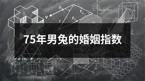 75年男兔的婚姻指数