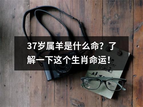 37岁属羊是什么命？了解一下这个生肖命运！