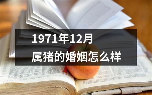 1971年12月属猪的婚姻怎么样