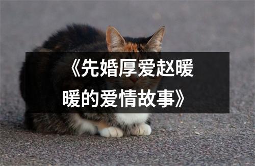 《先婚厚爱赵暖暖的爱情故事》
