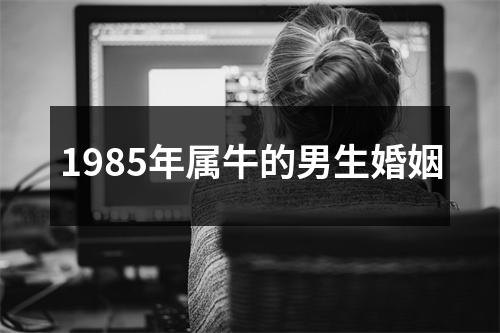 1985年属牛的男生婚姻