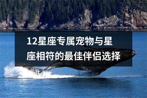 12星座专属宠物与星座相符的最佳伴侣选择