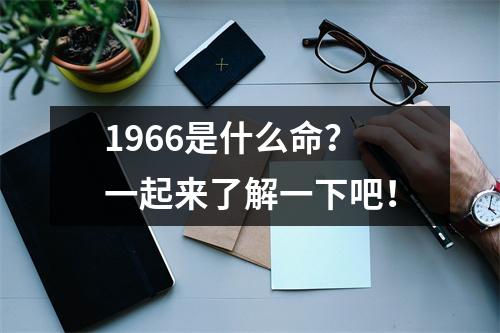 1966是什么命？一起来了解一下吧！