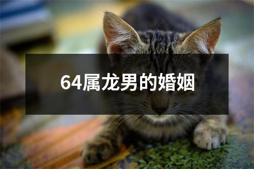 64属龙男的婚姻