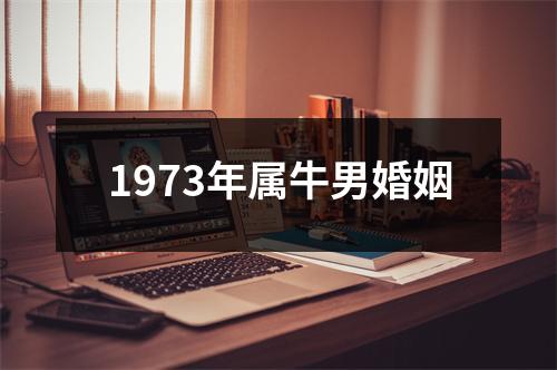 1973年属牛男婚姻