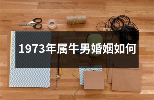 1973年属牛男婚姻如何