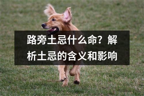 路旁土忌什么命？解析土忌的含义和影响