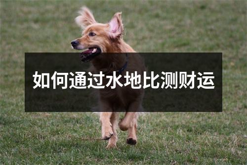 如何通过水地比测财运