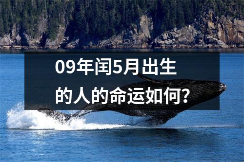 09年闰5月出生的人的命运如何？