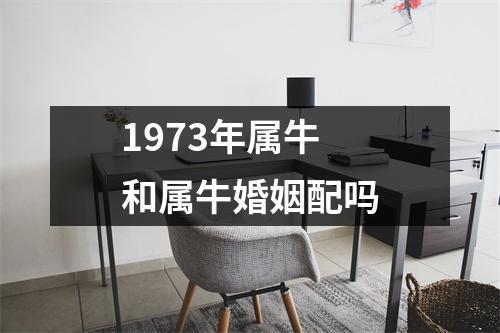 1973年属牛和属牛婚姻配吗