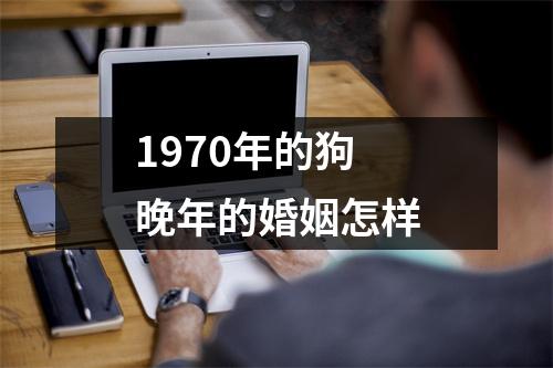 1970年的狗晚年的婚姻怎样