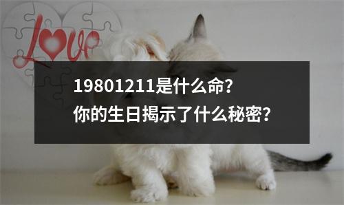 19801211是什么命？你的生日揭示了什么秘密？